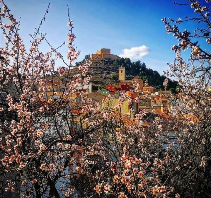 Aer Rural Apartment - Casillas Valle De Ayora Jalance エクステリア 写真